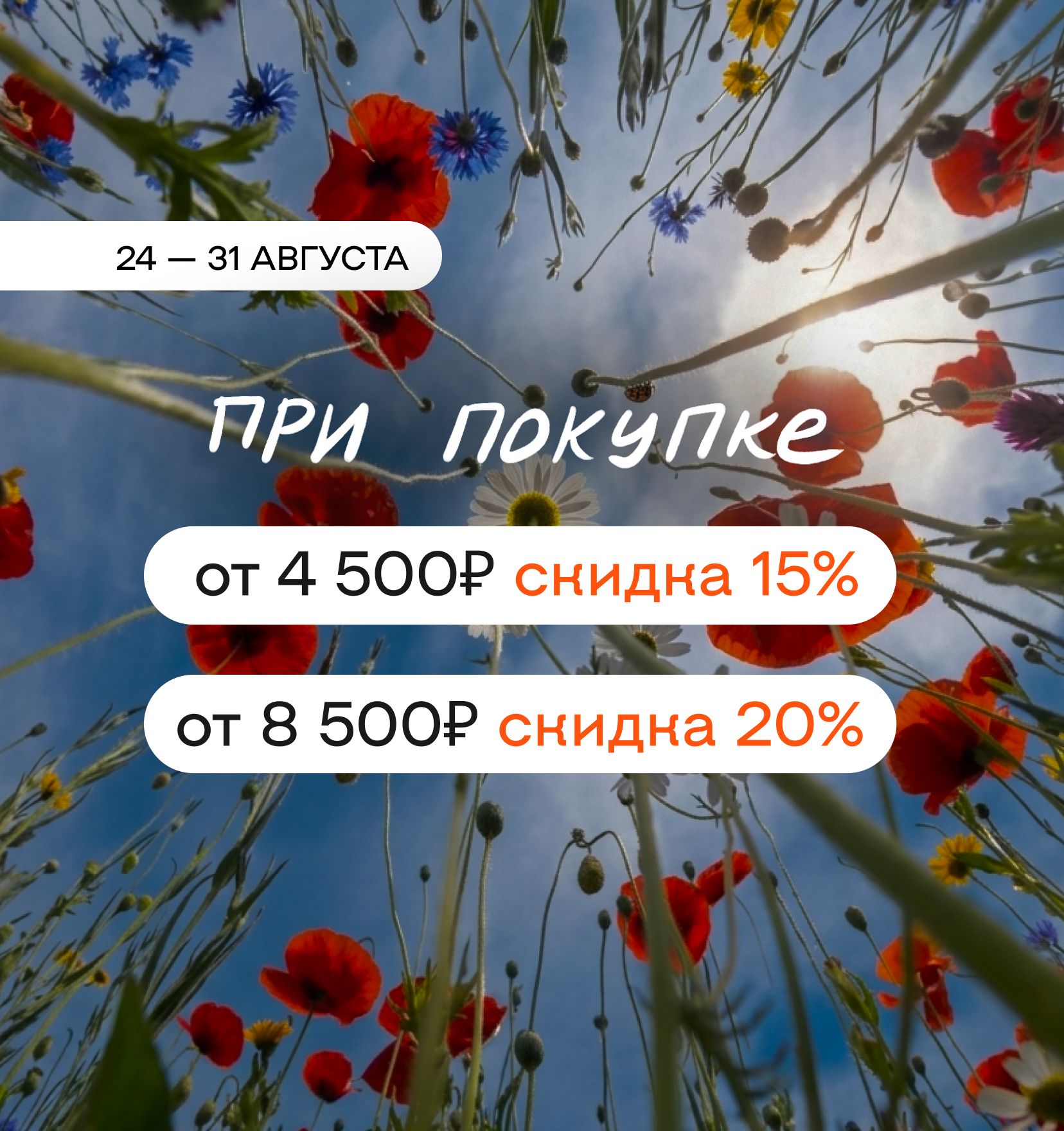 Больше покупка — больше выгода