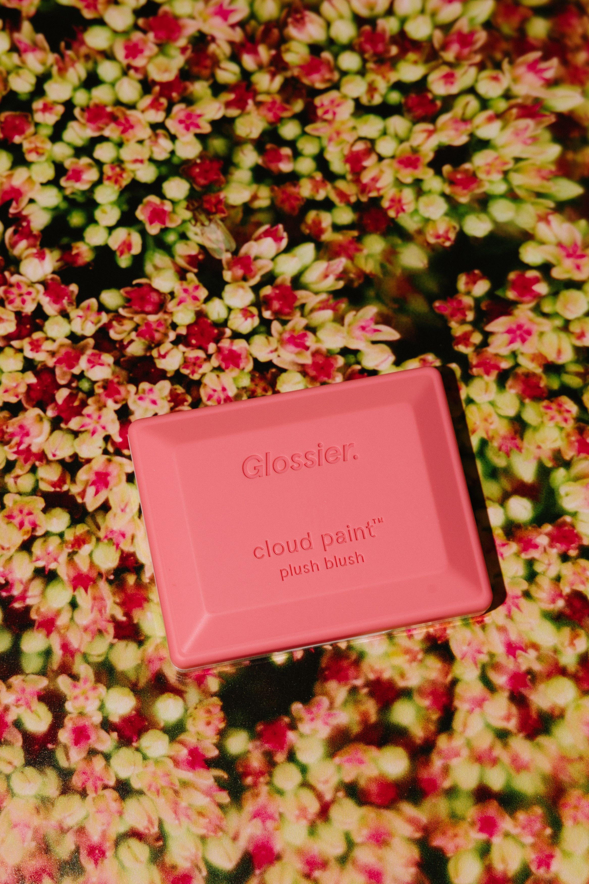 Пудровые румяна [Soar] Glossier Cloud Paint Plush Blush 6g