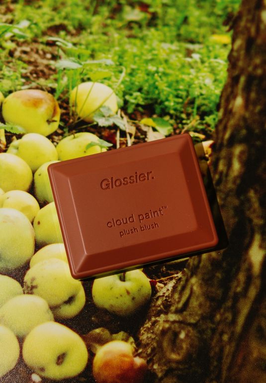 Пудровые румяна [Storm] Glossier Cloud Paint Plush Blush 6г