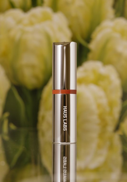 Румяна [Glassy Cayenne] HAUS LABS Color Fuse Glassy Cheek Blush Balm Stick 5г