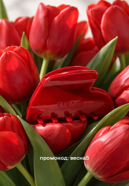 Краб для волос - Бордовое сердце Assoro 