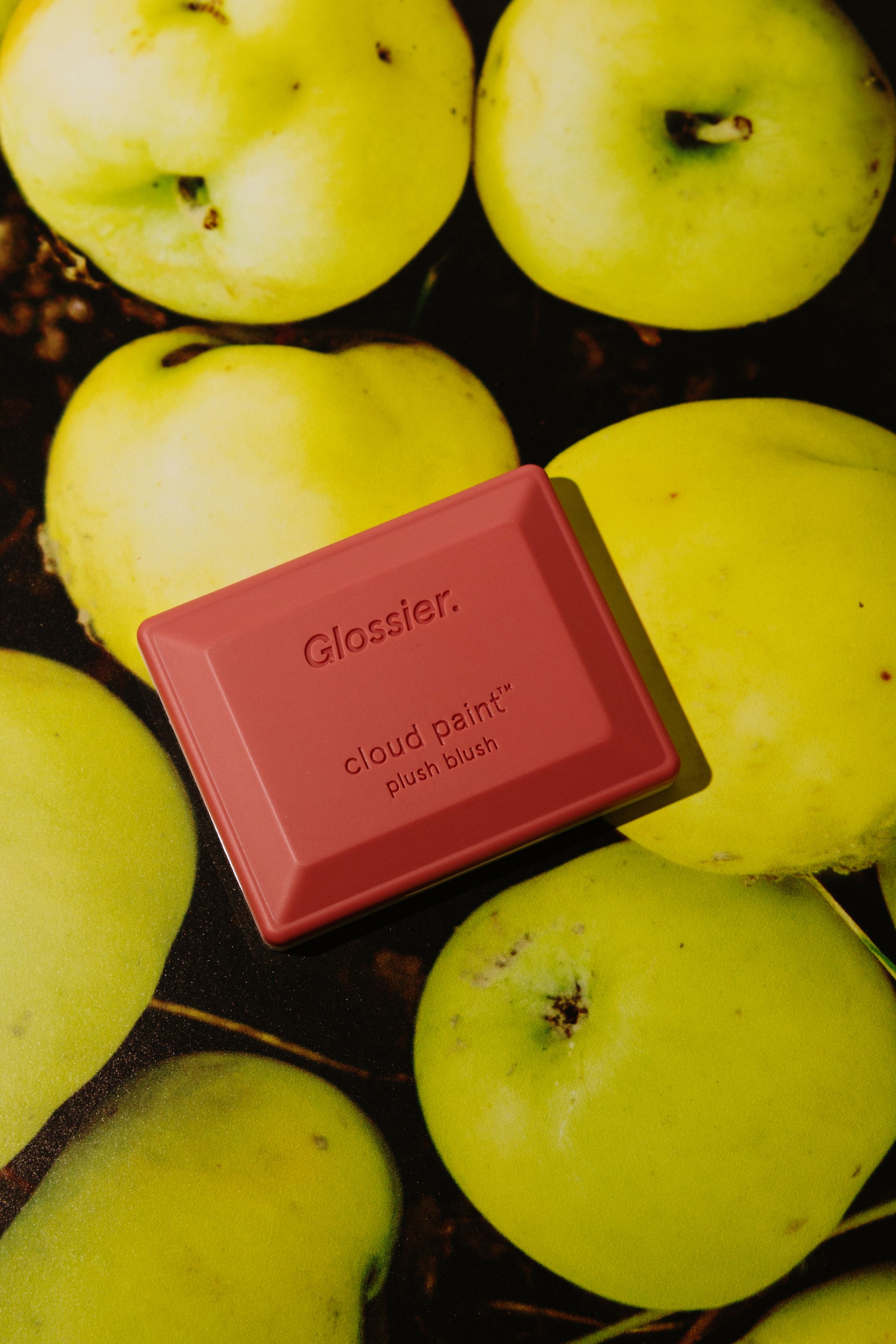 Пудровые румяна [Float] Glossier Cloud Paint Plush Blush 6g